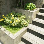 永安町玄関階段