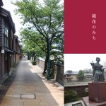 鏡花のみち